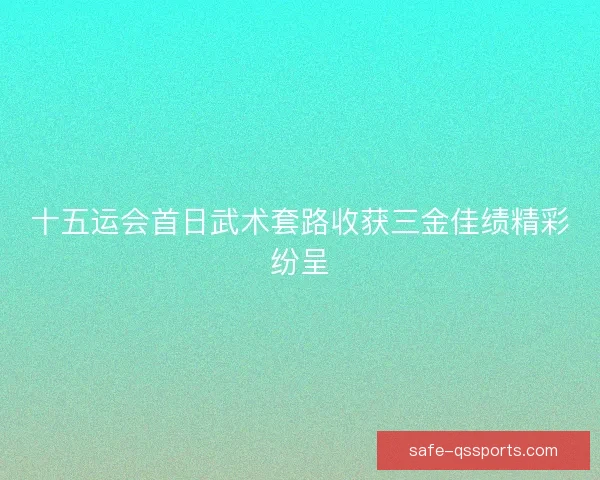 十五运会首日武术套路收获三金佳绩精彩纷呈